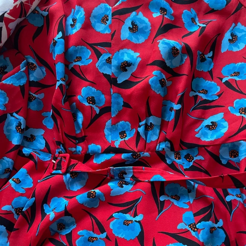 Ann Taylor Red Maxi Dress with Blue Floral Print - Picture 3 of 7